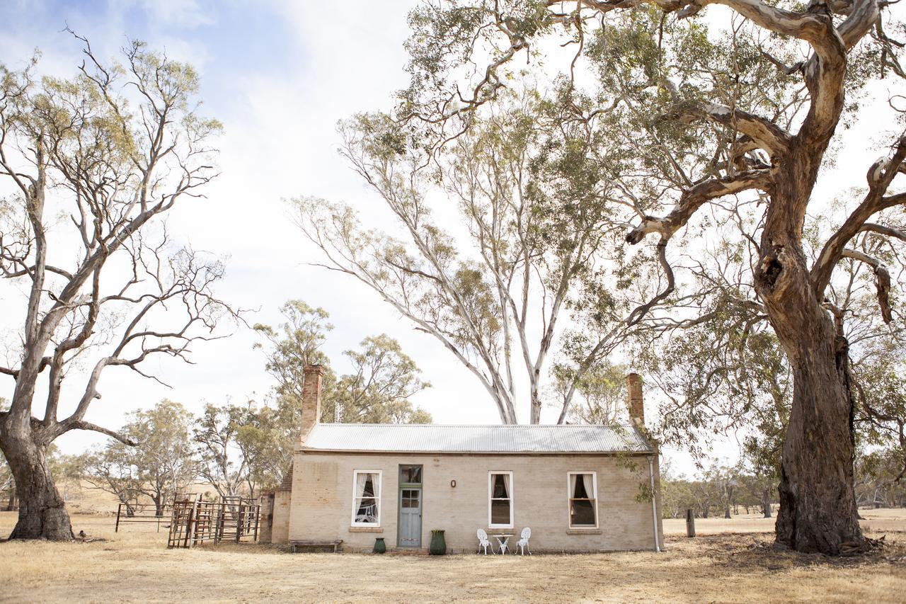 Ravenswood Homestead Εξωτερικό φωτογραφία